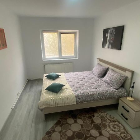 Apartment Dabic Remote And Fun Braşov Eksteriør bilde