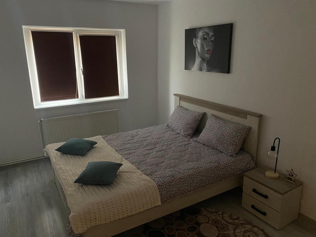 Apartment Dabic Remote And Fun Braşov Eksteriør bilde