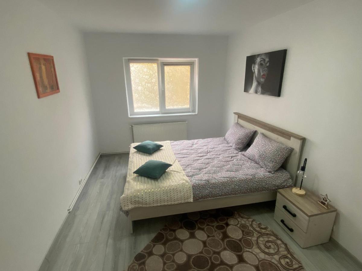Apartment Dabic Remote And Fun Braşov Eksteriør bilde